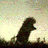 Avatar пользователя